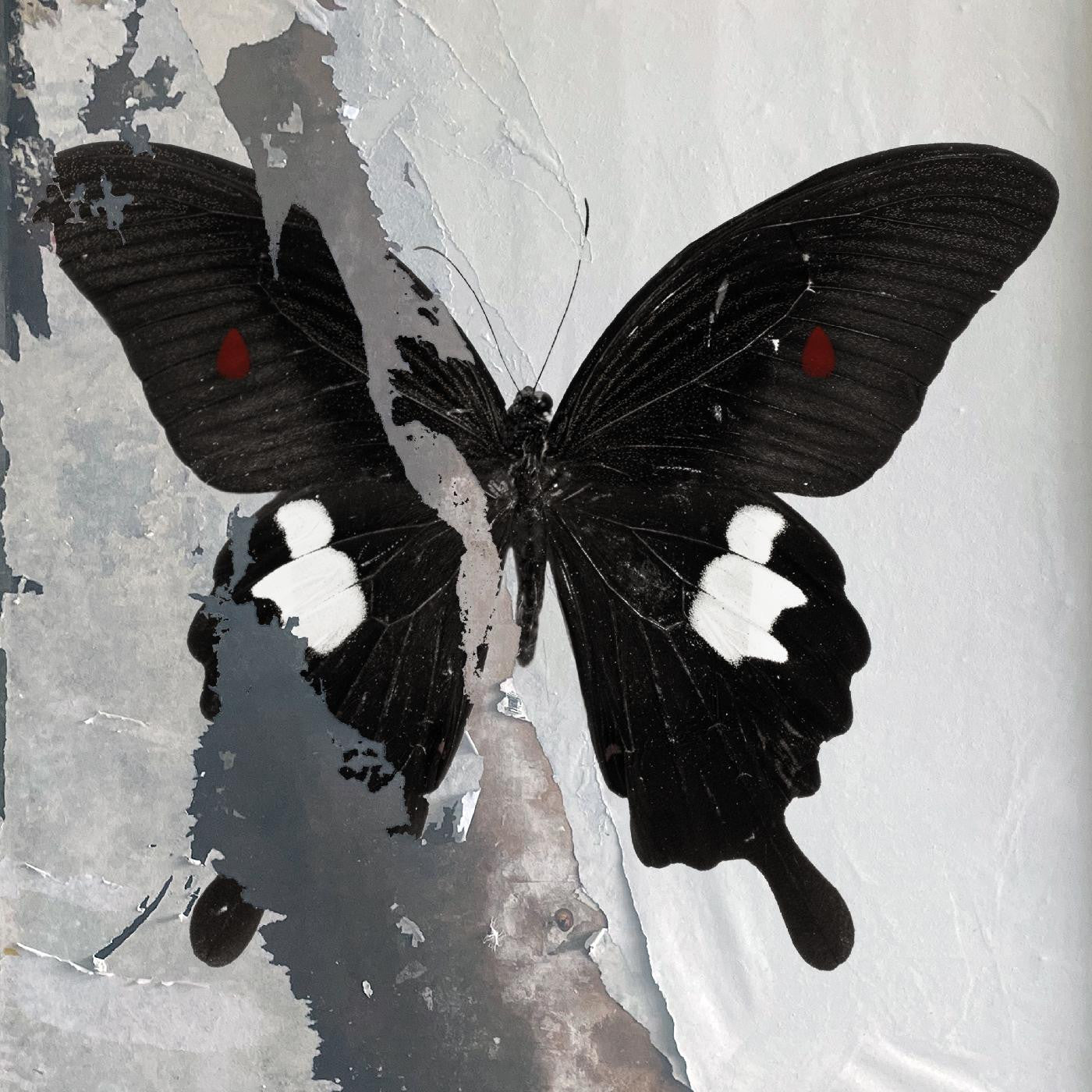 Death Cult - Paradise Now - Viasonde