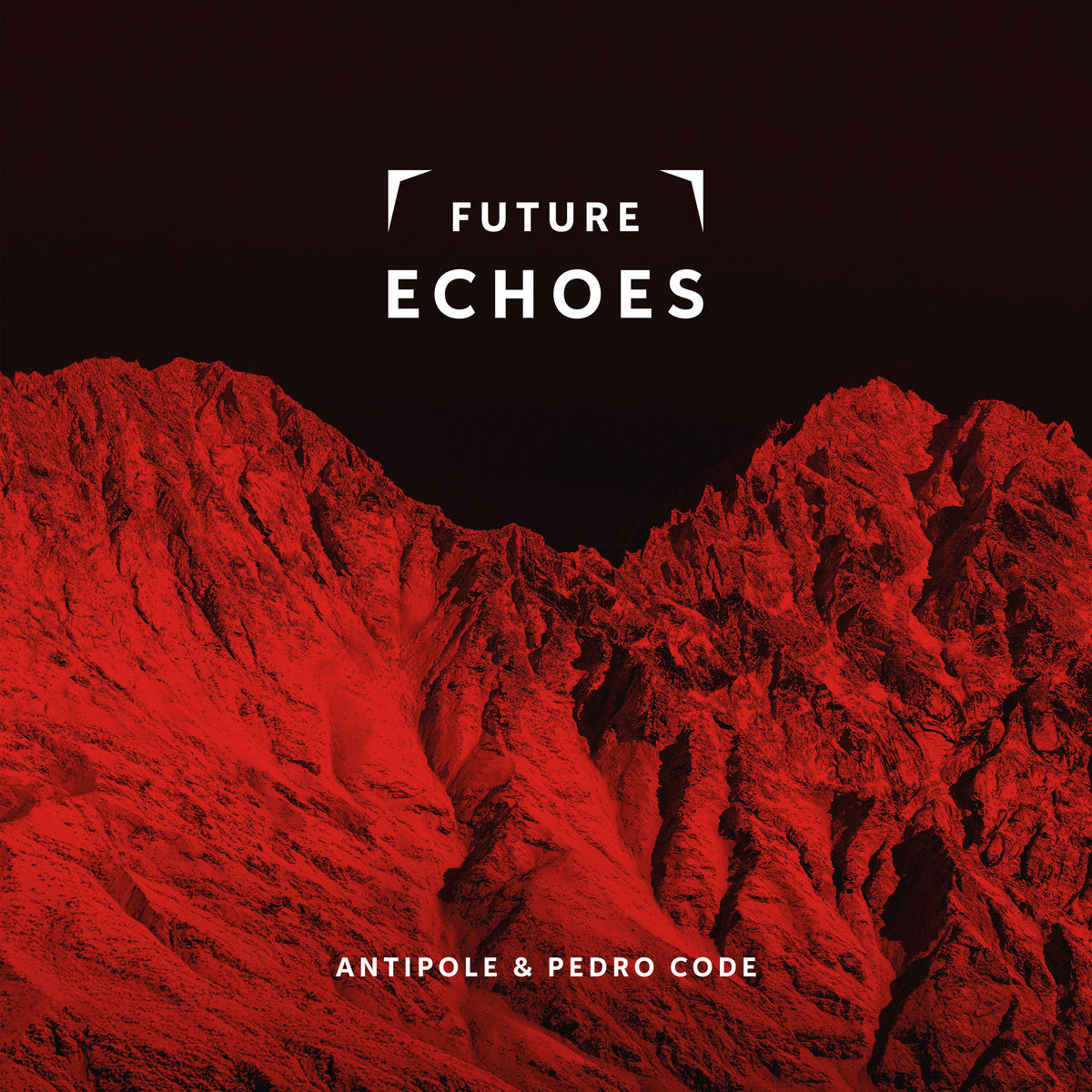 Antipole & Pedro Code - Future Echoes
