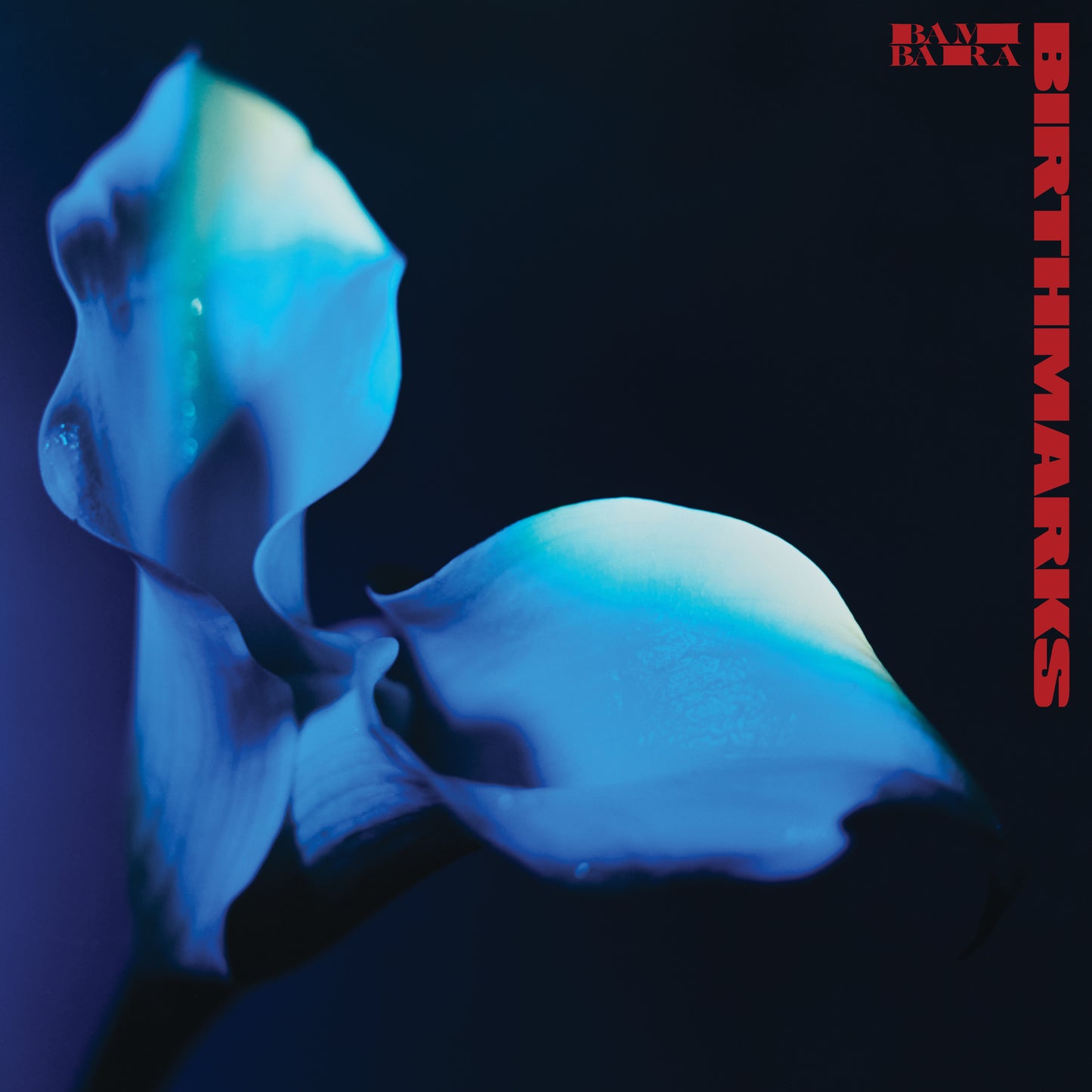 Bambara - Birthmarks - Viasonde