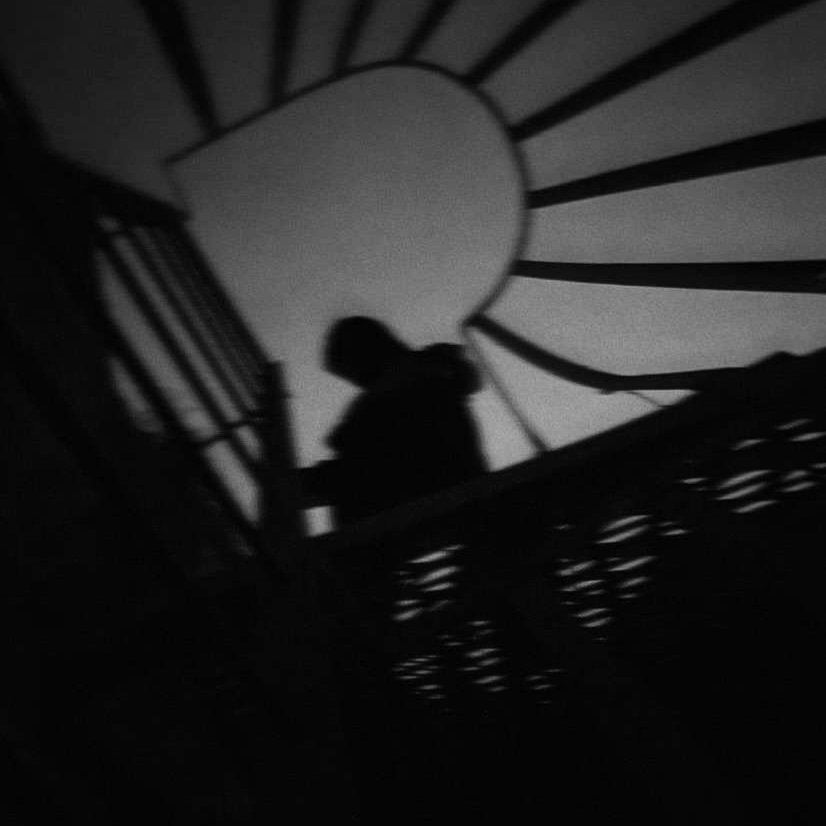 Shadows Hold