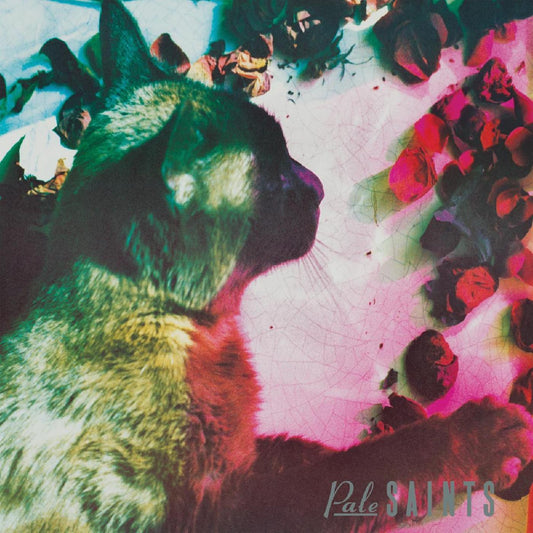 Pale Saints - The Comfort of Madness - Viasonde