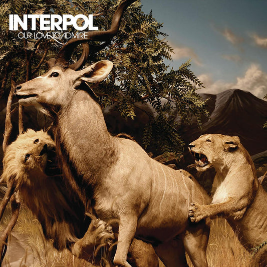 Interpol - Our Love To Admire - Viasonde