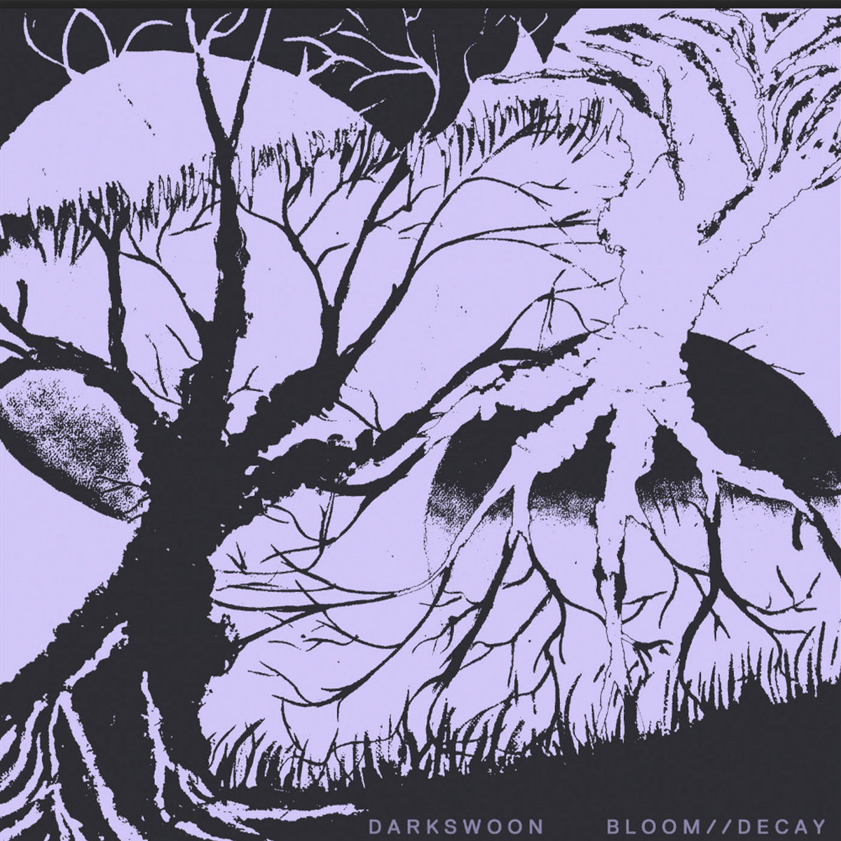 Darkswoon - Bloom//Decay - Viasonde