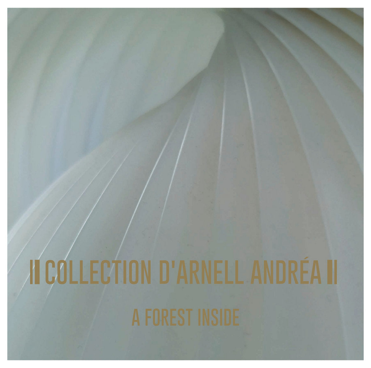 Collection D'Arnell Andrea -  A Forest Inside