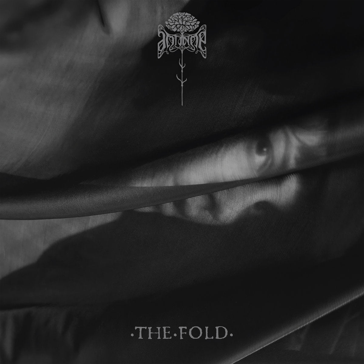 Antinoe - The Fold