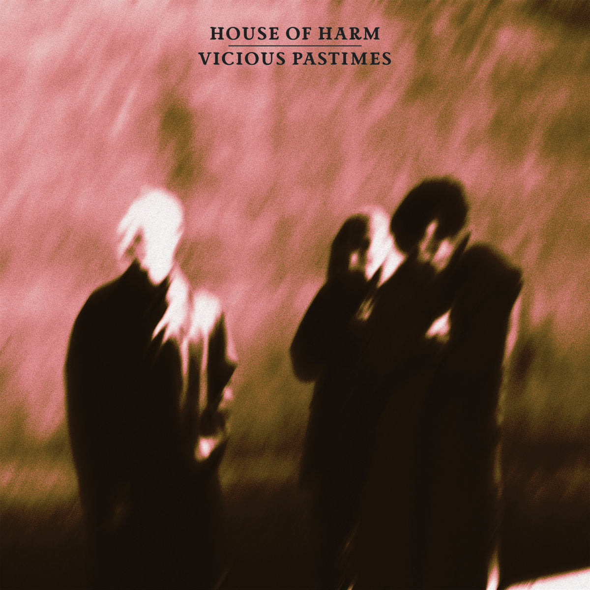 House of Harm -  Vicious Pastimes