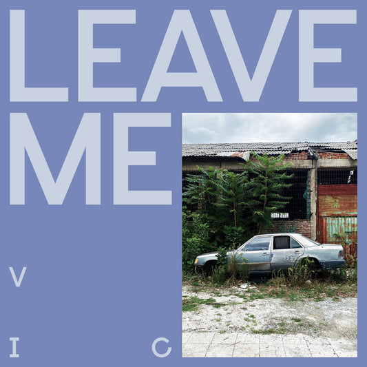 Visions in Clouds - Leave Me