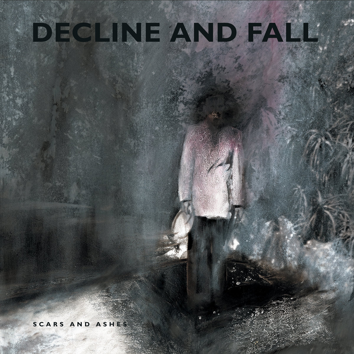 Decline and Fall - Scars and Ashes