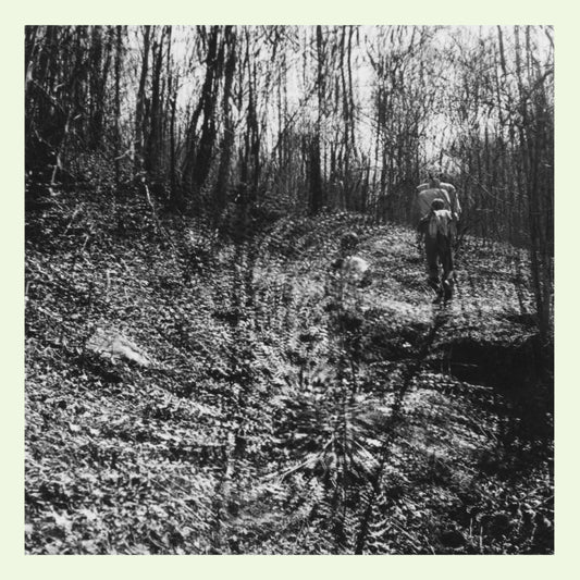 Topographies - Interior Spring - Viasonde